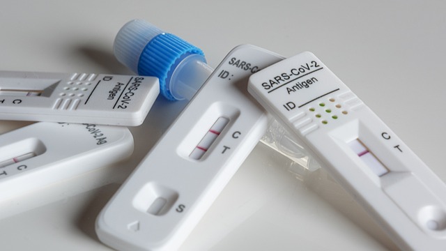Testovanie antigénovými testami